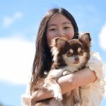 犬はどこで購入するべき?