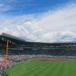 野球観戦をさらに面白いものへ