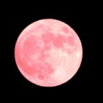 ナイトアイボーテの効果は本物?口コミを紹介!【最安値で購入する方法も】
